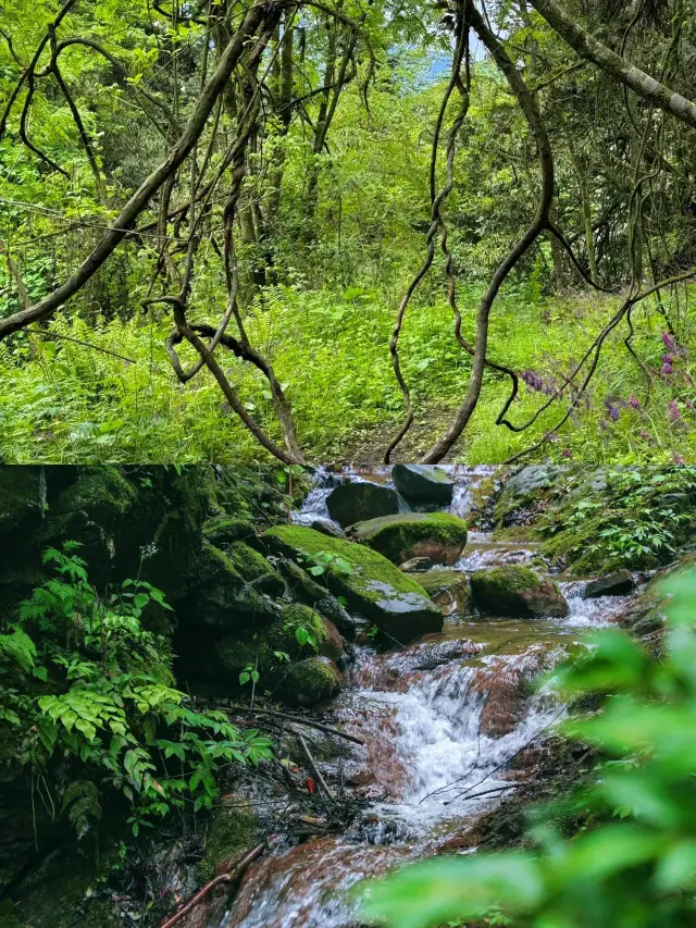 The "Fairy Waterfall" Treasure - Shenpu Gorge