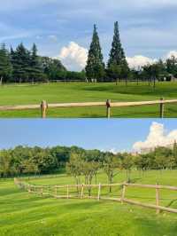 在成都！七個想去拍無數次的公園！氛圍絕了