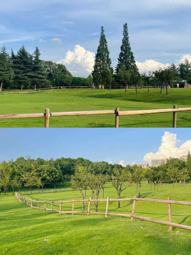 在成都！七個想去拍無數次的公園！氛圍絕了
