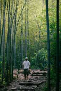 莫干山這條親子徒步線路，一定要注意了