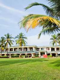 🌴 Goa's Gems: Top Spots for a Serene Stay 🏖️