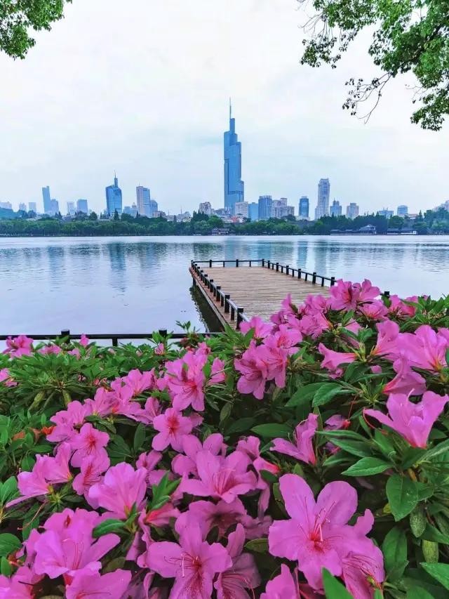 Xuanwu Lake Huanzhou is Beautiful❤️🇨🇳