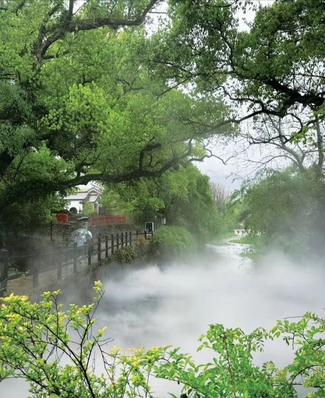 浙江秘境大公開！麗水古堰畫鄉，你值得一遊！