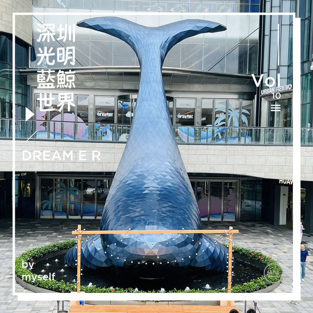 逛逛光明藍鯨世界
