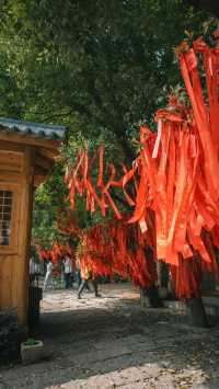 你說你喜歡江南，我便春杉吹絮！｜文泉禅寺