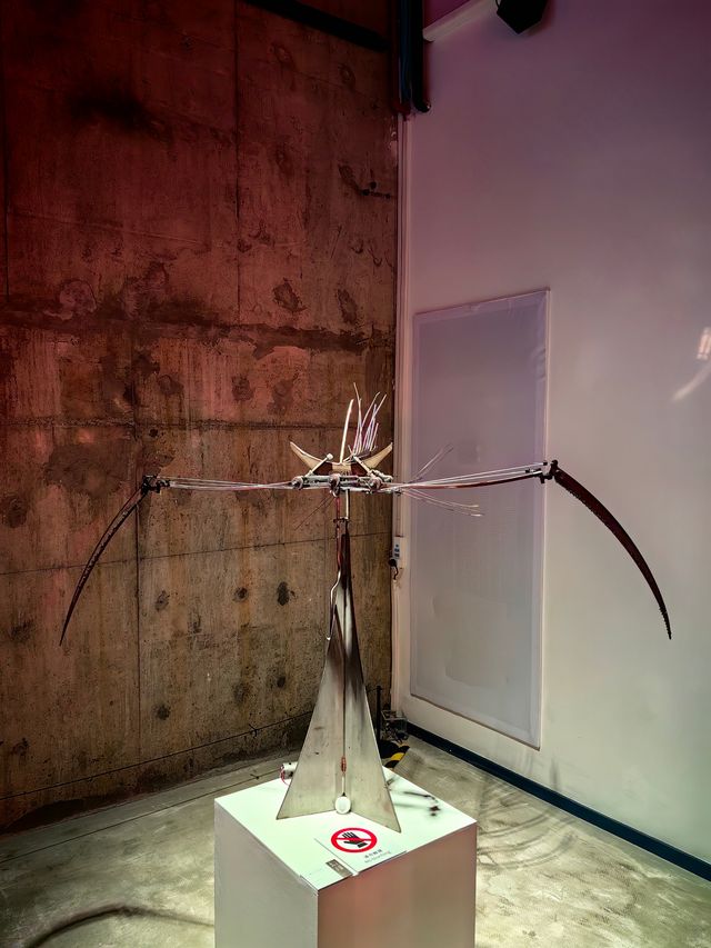 幻境