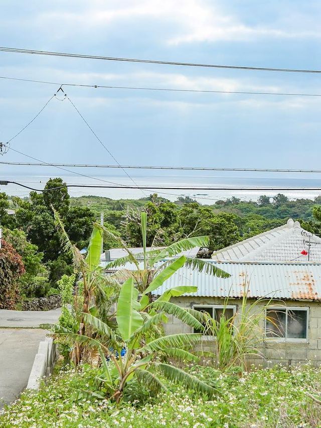 🥕Carrot Island AKA Tsuken Island: A Slice of Paradise🌺