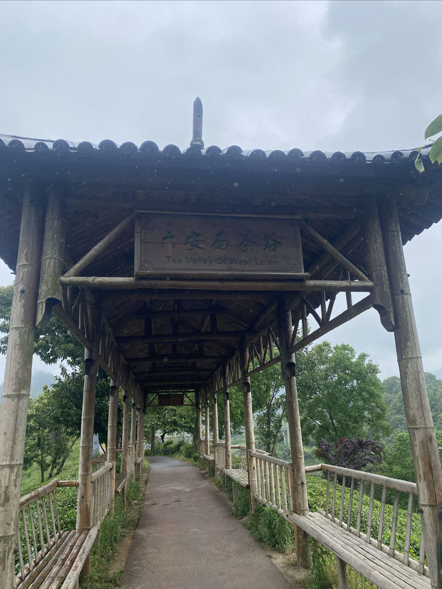 到金寨的優質路線