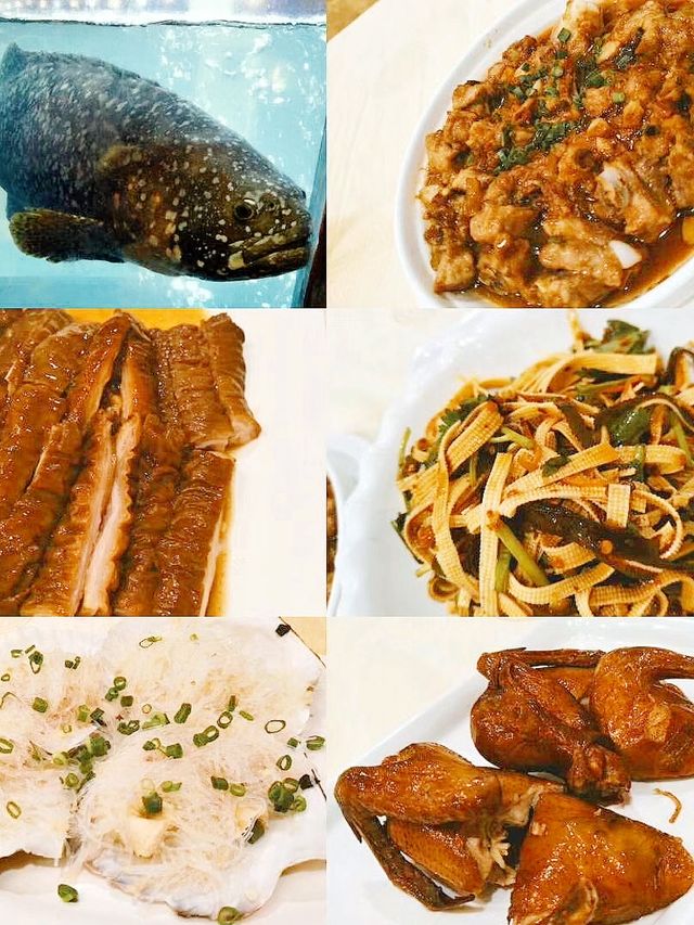 夏天來深圳東部華僑城避暑納涼吧