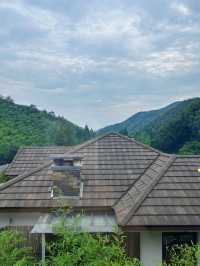 我的寶藏民宿-莫干山下的莫奈花園！！！