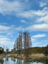 合肥周邊遊——冶父山國家森林公園