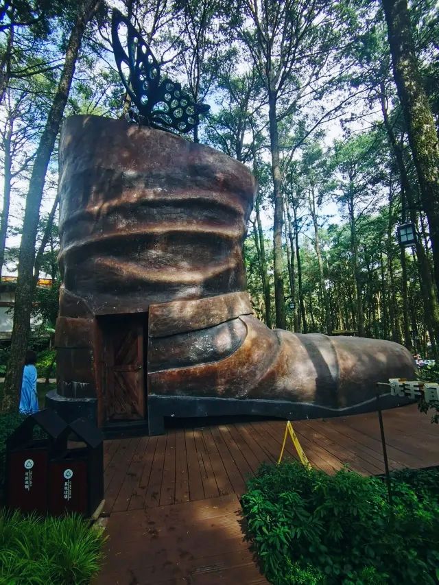 泡湯好去處～金方森林溫泉