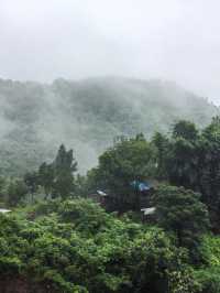 泸州自由行：探寻历史与自然的美妙之旅