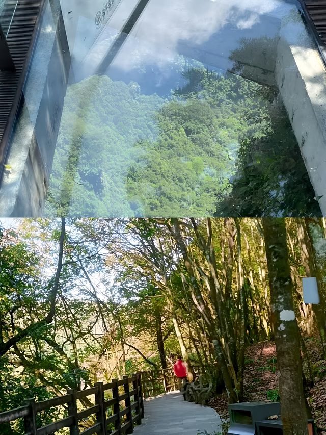 哇塞，一個絕美的地方——杭州太湖源梯田花海