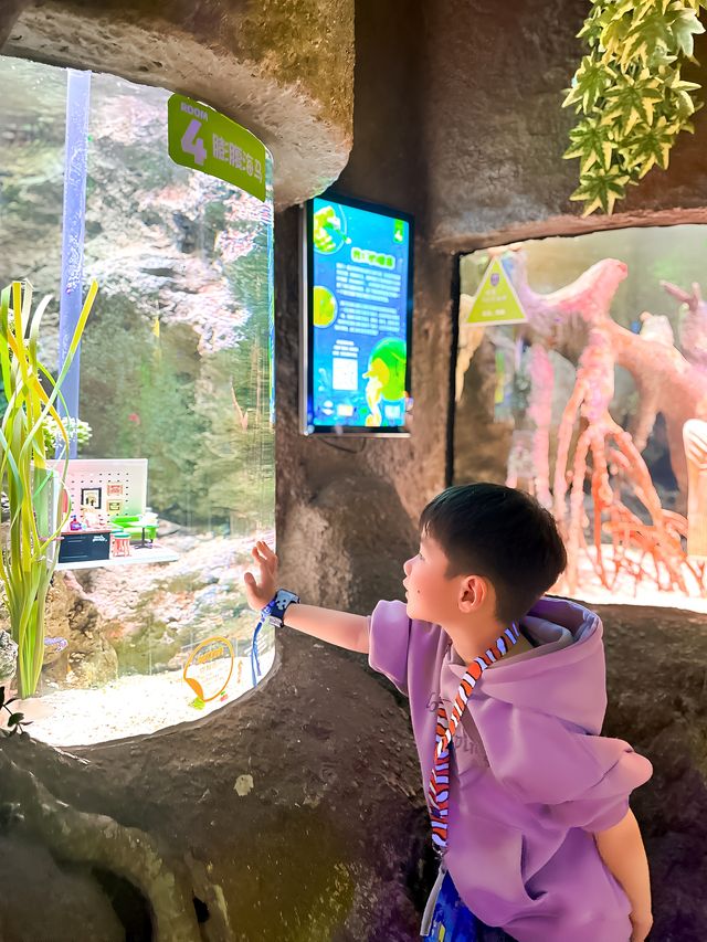 長風公園海洋世界竟然有個海馬酒店