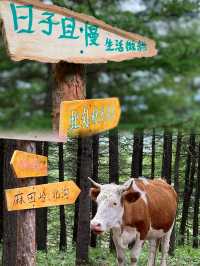 北京徒步的天花板——京郊阿勒泰 麻田岭
