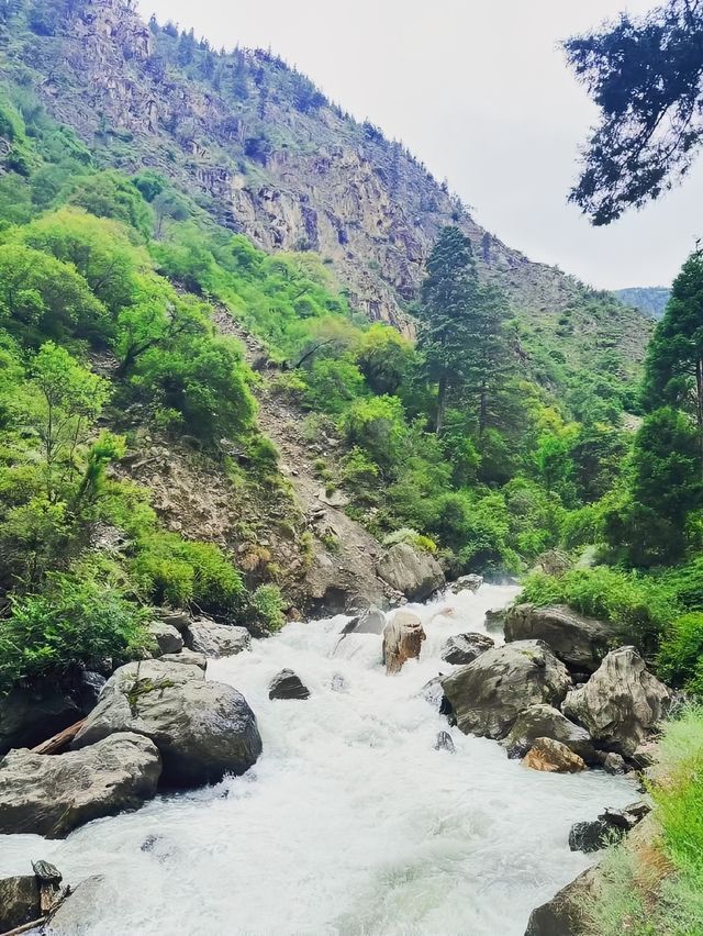 雲南旅遊｜不去天堂，就去雨崩｜8-9月雨崩徒步隊友招募中