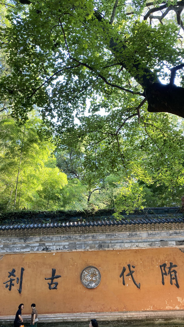 避暑還是要選擇有海拔的山上
