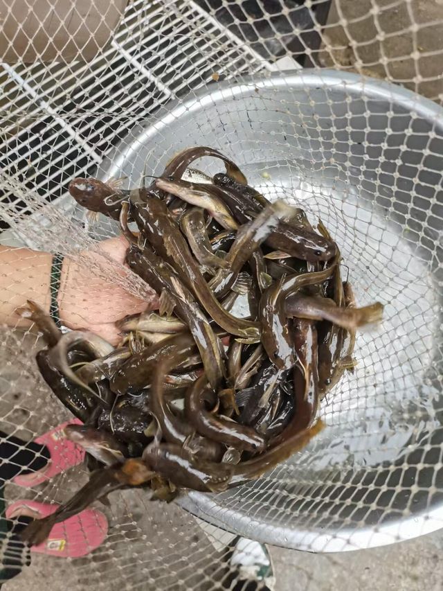 貴州黔南小眾景點 | 平塘，暑假結束前必去