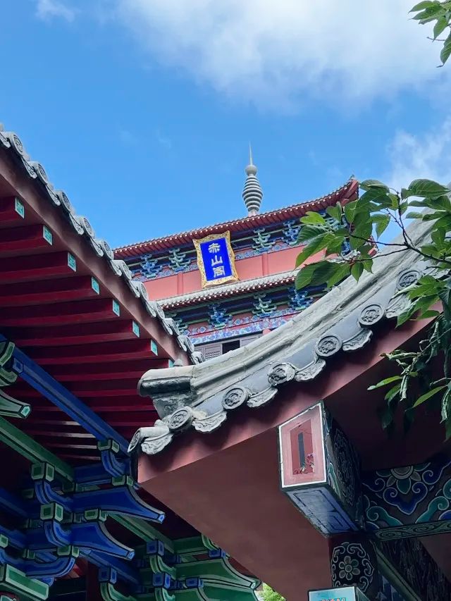 山海之間威海赤山｜山東暑假寶藏避暑聖地