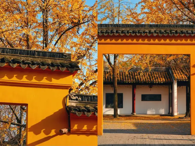 蘇州虎丘山的美終究還是藏不住啦