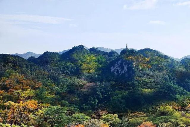 金龍山。