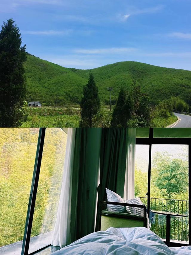 依山而居|隱匿於巡茶園間的世外桃源。