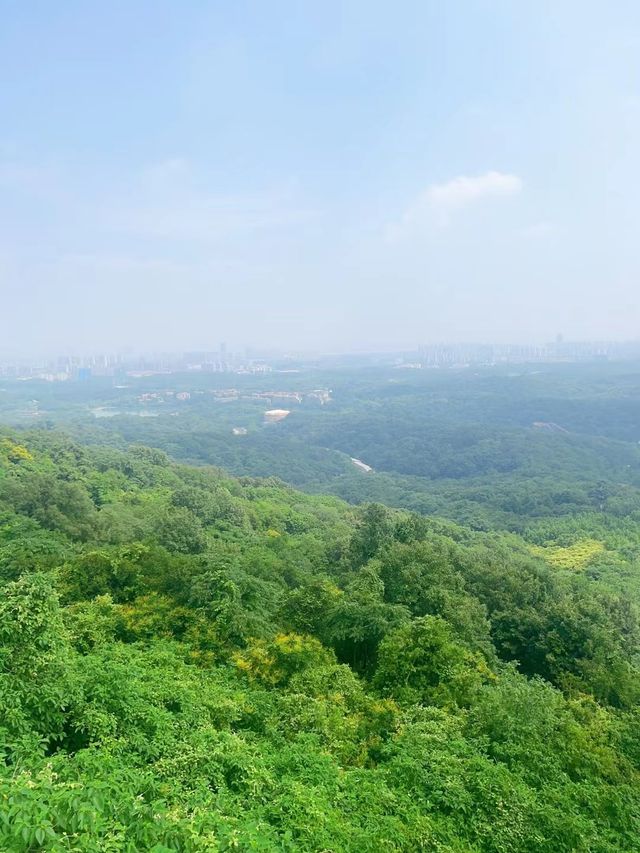 南京達摩主題公園（又稱達摩古洞景區）。
