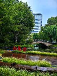 蛻變——和平公園。