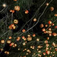 Spooky Halloween, apart from the common spooky decorations UK Edinburgh