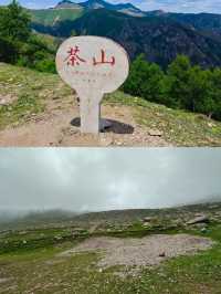 張家口蔚縣茶山。