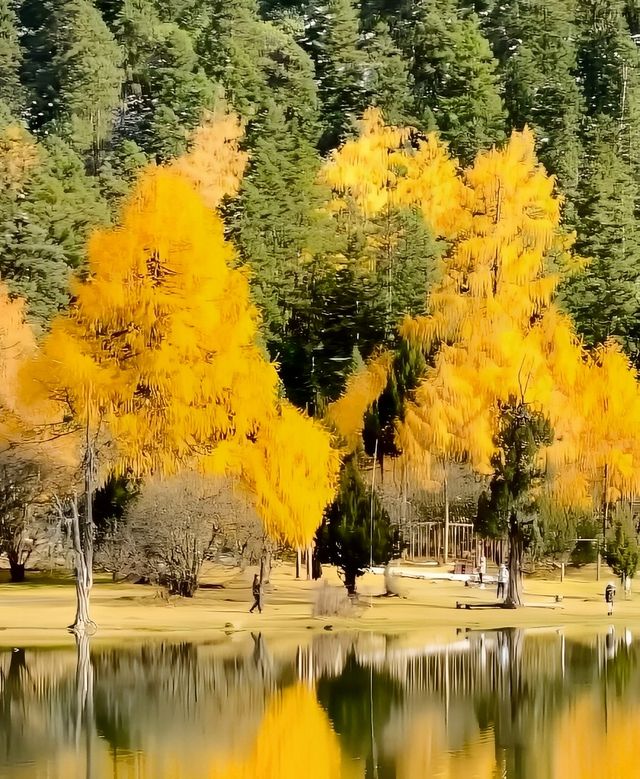 堪比宮崎駿的秋天，畢棚溝，此生必去。