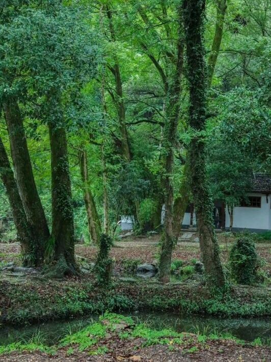 杭州人的秘密花園:建德之旅。 杭州人的秘密花園:建德之旅。