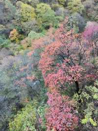 陝西西安|太平國家森林公園。