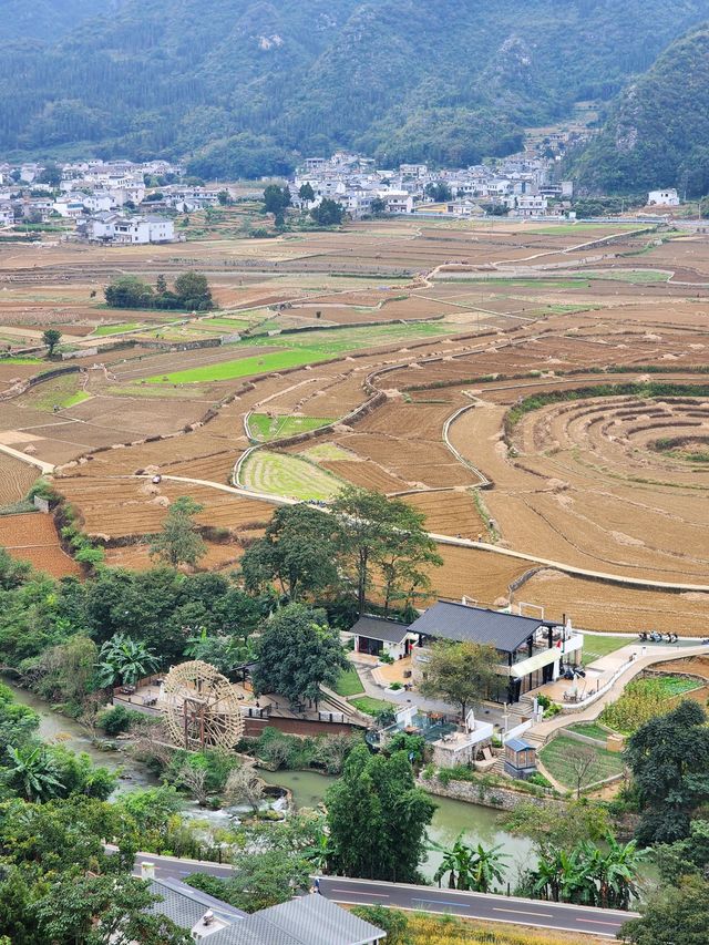 妥樂古銀杏等地玩了8天 說點大實話。
