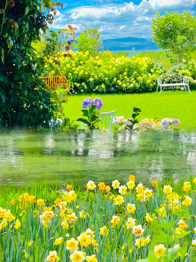 屬於昆明的莫奈花園，像打翻了調色盤，真的絕美！。
