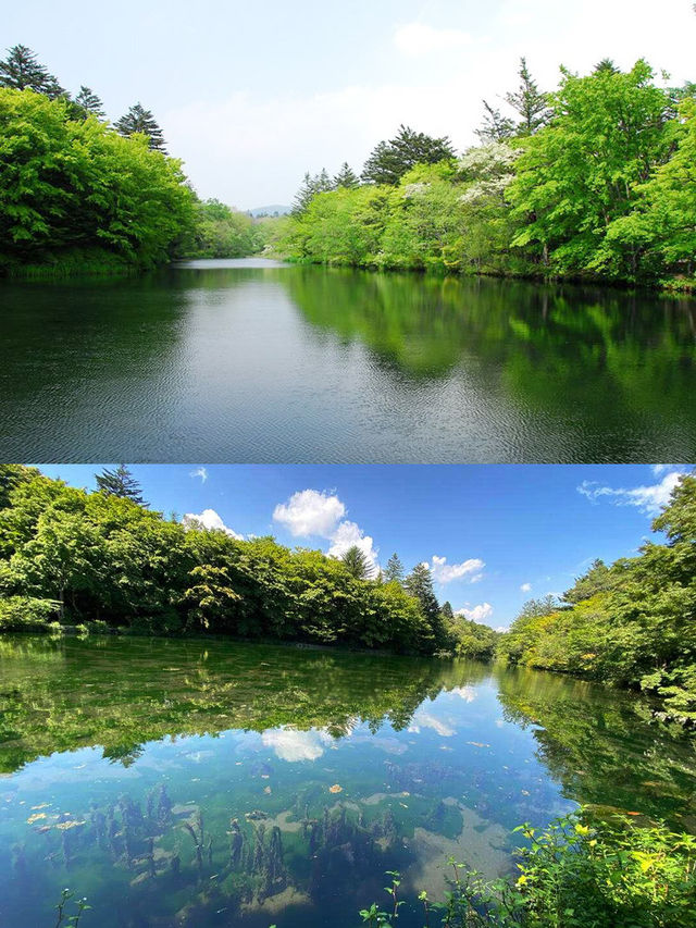 玩轉日本 | 輕井澤包車一日遊全攻略。