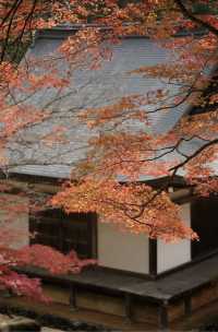 名古屋周邊｜上高地封山也能進噢。