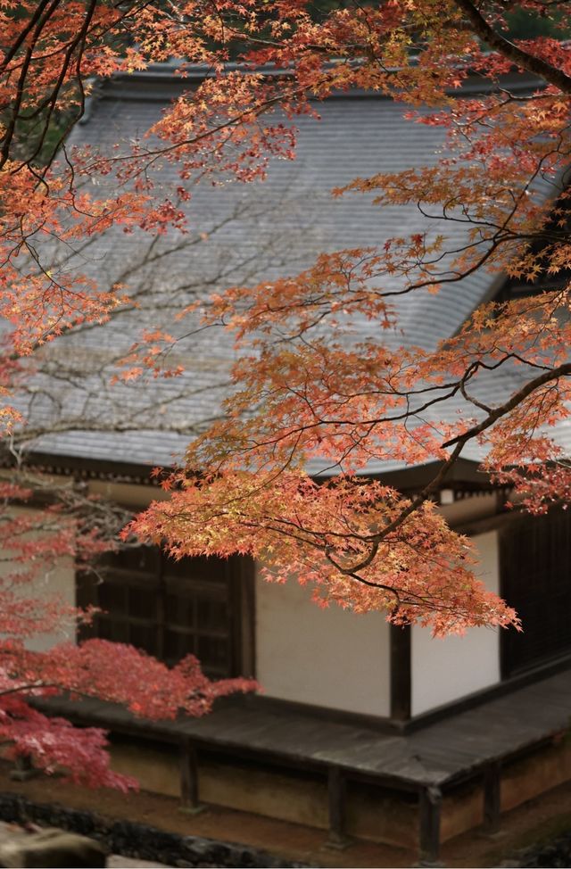 名古屋周邊｜上高地封山也能進噢。