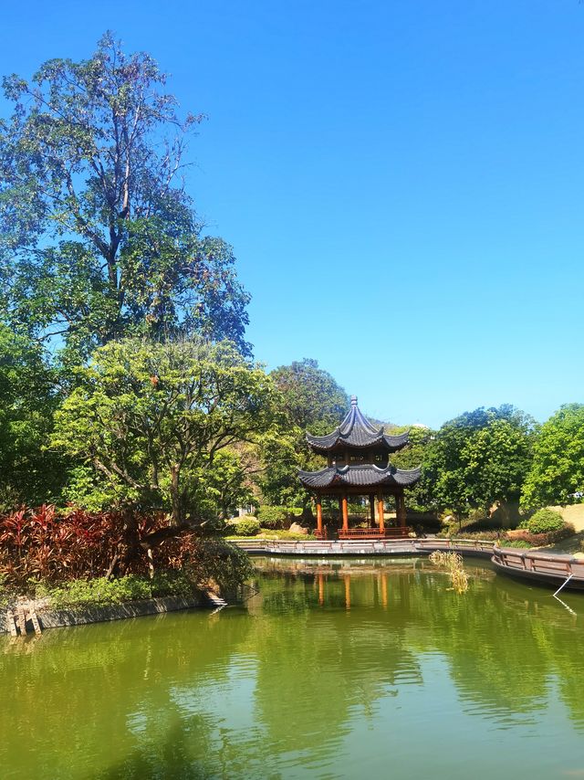 秋天遊覽免費的溫泉荔枝蜜公園  還能拍古風照。