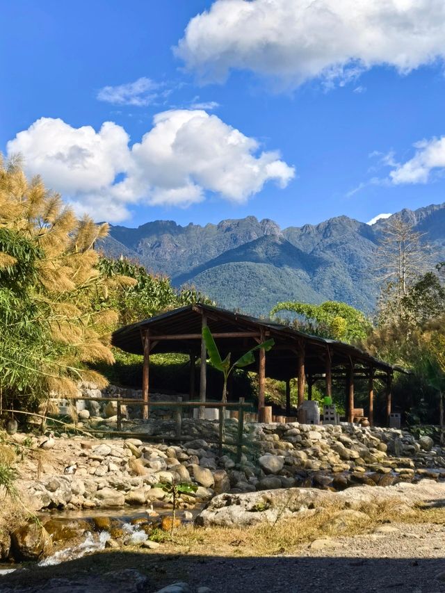 騰衝高黎貢山不上班就進山。