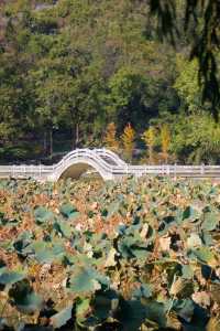 桂林西山公園 | 城市中的自然寶藏。