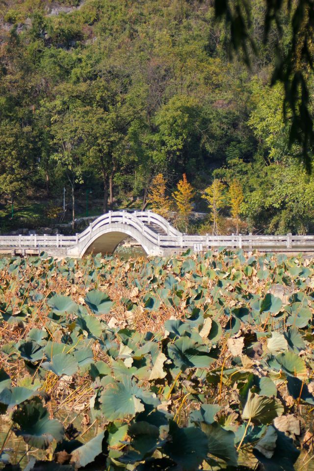 桂林西山公園 | 城市中的自然寶藏。