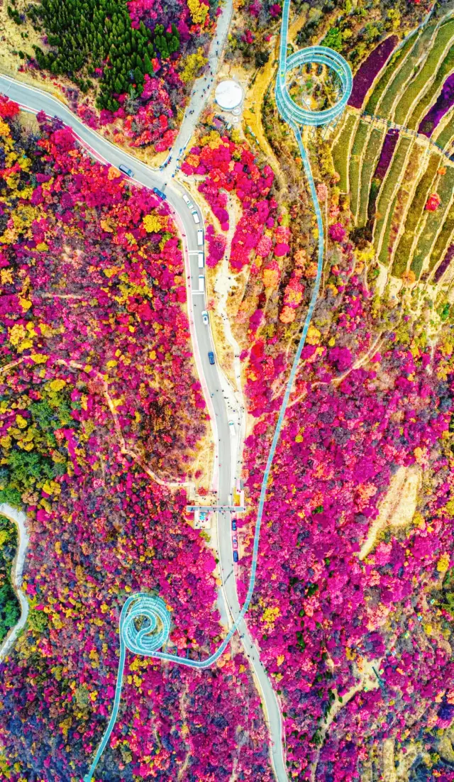 How can you miss these places when you come to Shandong? 