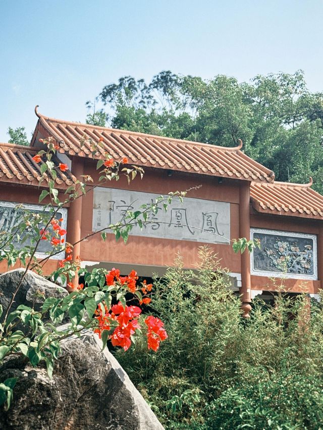 深圳鳳凰山｜聽說這裡求姻緣很靈驗。。