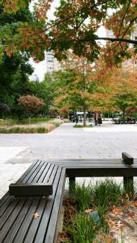 身邊的寶藏公園。