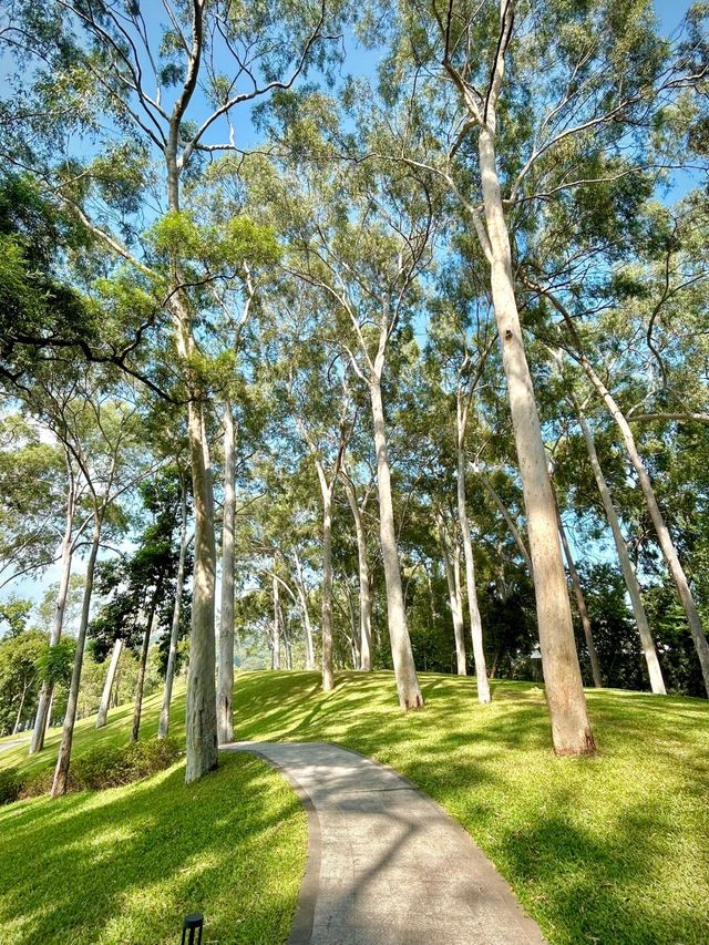 麓湖公園| 這是一個可以逛一整天的公園。