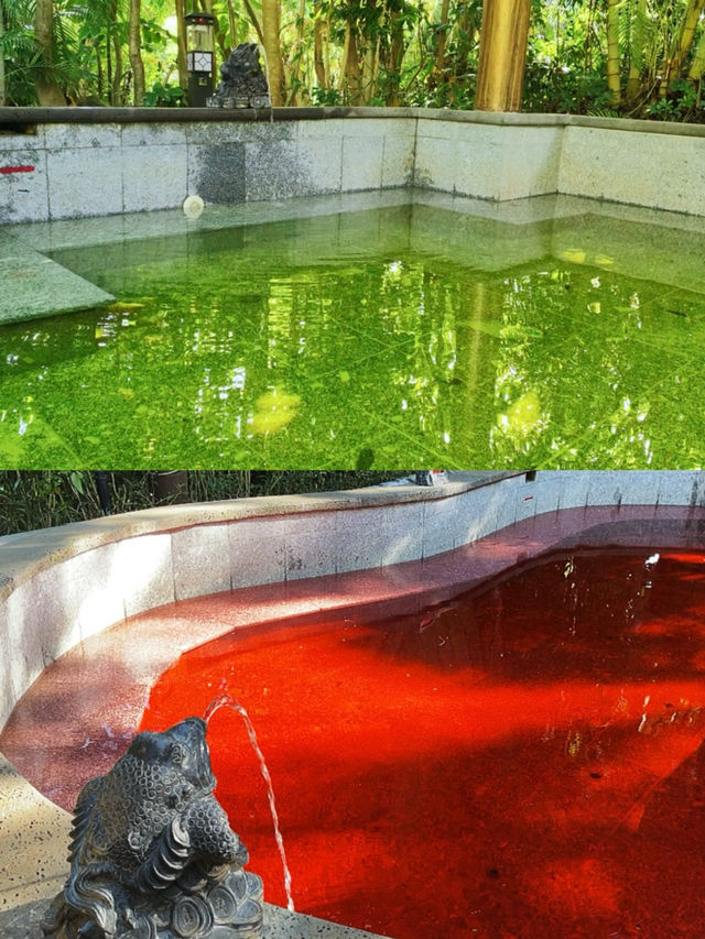 i人先泡為敬！陵水周邊冬日溫泉小眾好去處。