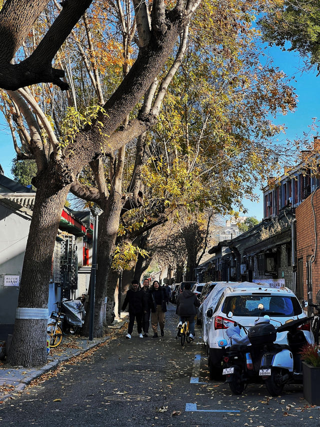 史家胡同，大氣端莊。