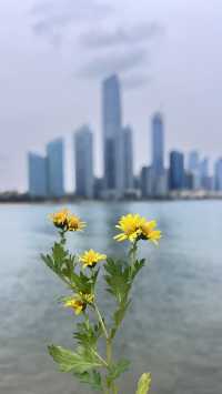 今天給大家推薦青島的唐島灣公園呀。
